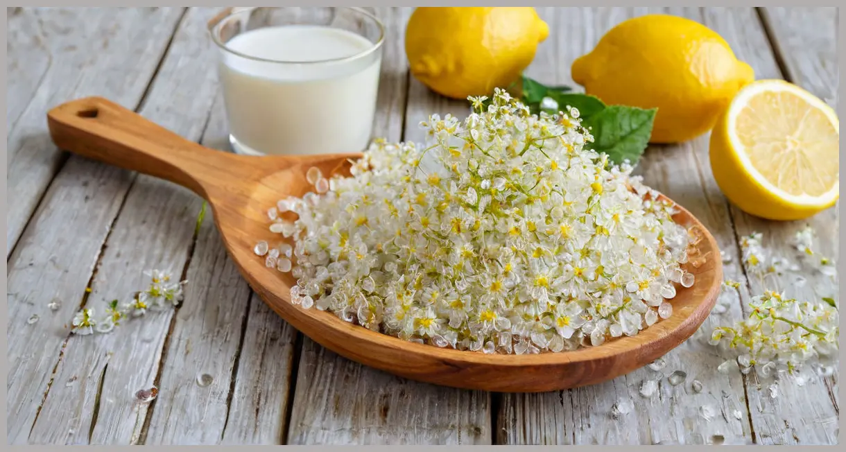 A photorealistic close-up of fresh elderflower heads, vibrant lemons, caster sugar, and white wine vinegar arranged on a rustic wooden surface for homemade Elderflower fizz.