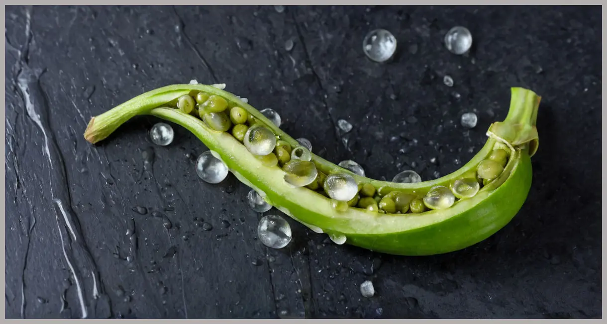 Extreme close-up of vegan pesto spaghetti ingredients: a split broad bean, courgette slice, halved olive, and lemon peel on dark slate.