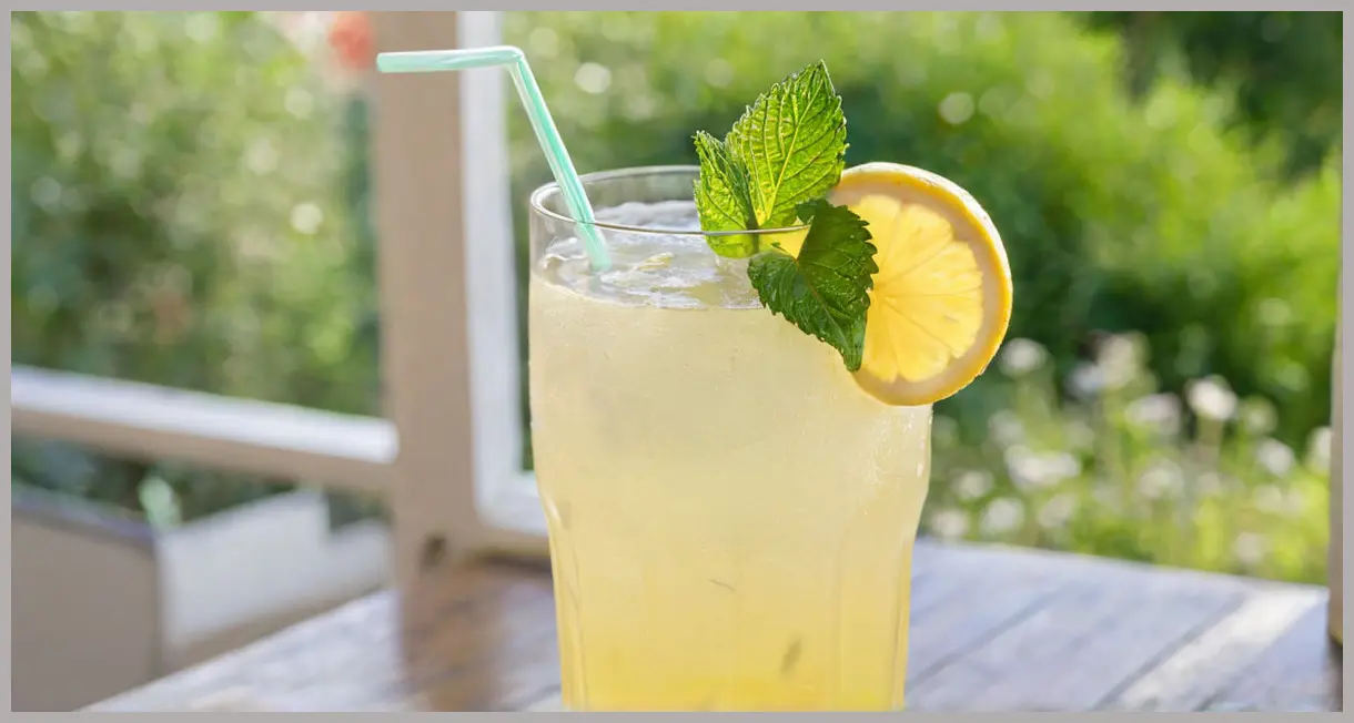 Elderflower Fizz Recipe