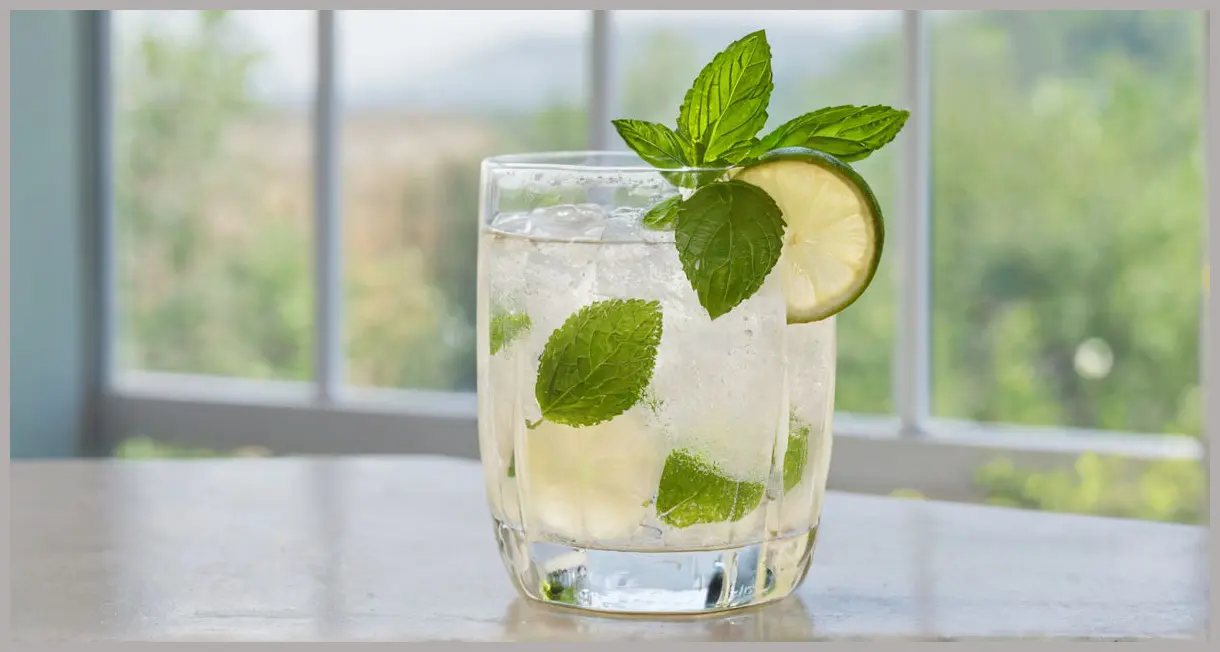 An elegant highball glass of Three booze-free cocktails: Elderflower & Herb Fizz, with clear sparkling water, crushed basil and mint ice, and a lime wheel, under soft diffused natural light.